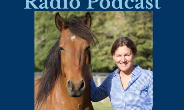295: Horses Teach us to Think in Multi Approaches to Training, Denise Heinlein by HandsOnGloves