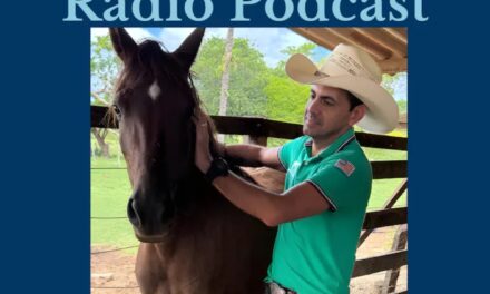 297: Going from Scared to Soft with Horses with by HandsOnGloves